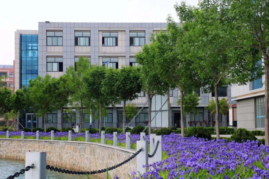 1590972080674122.jpg 4.jpg